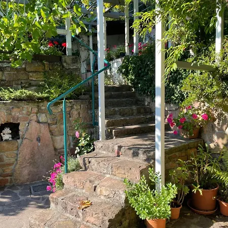 Am Berggarten Heidelberg Exterior photo