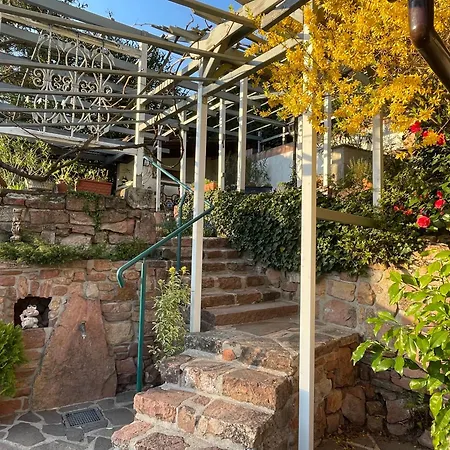 Am Berggarten Heidelberg Exterior photo