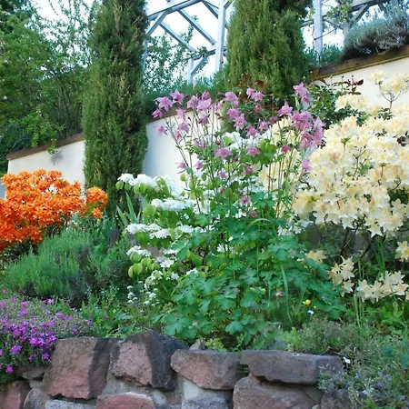 Am Berggarten Heidelberg Exterior photo