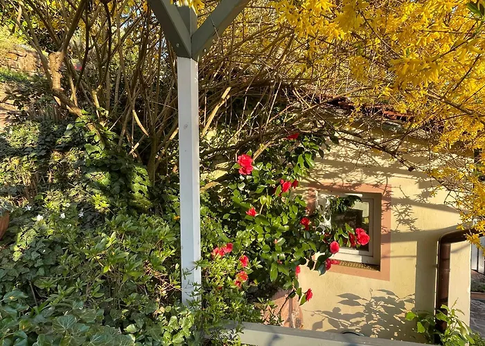 Am Berggarten