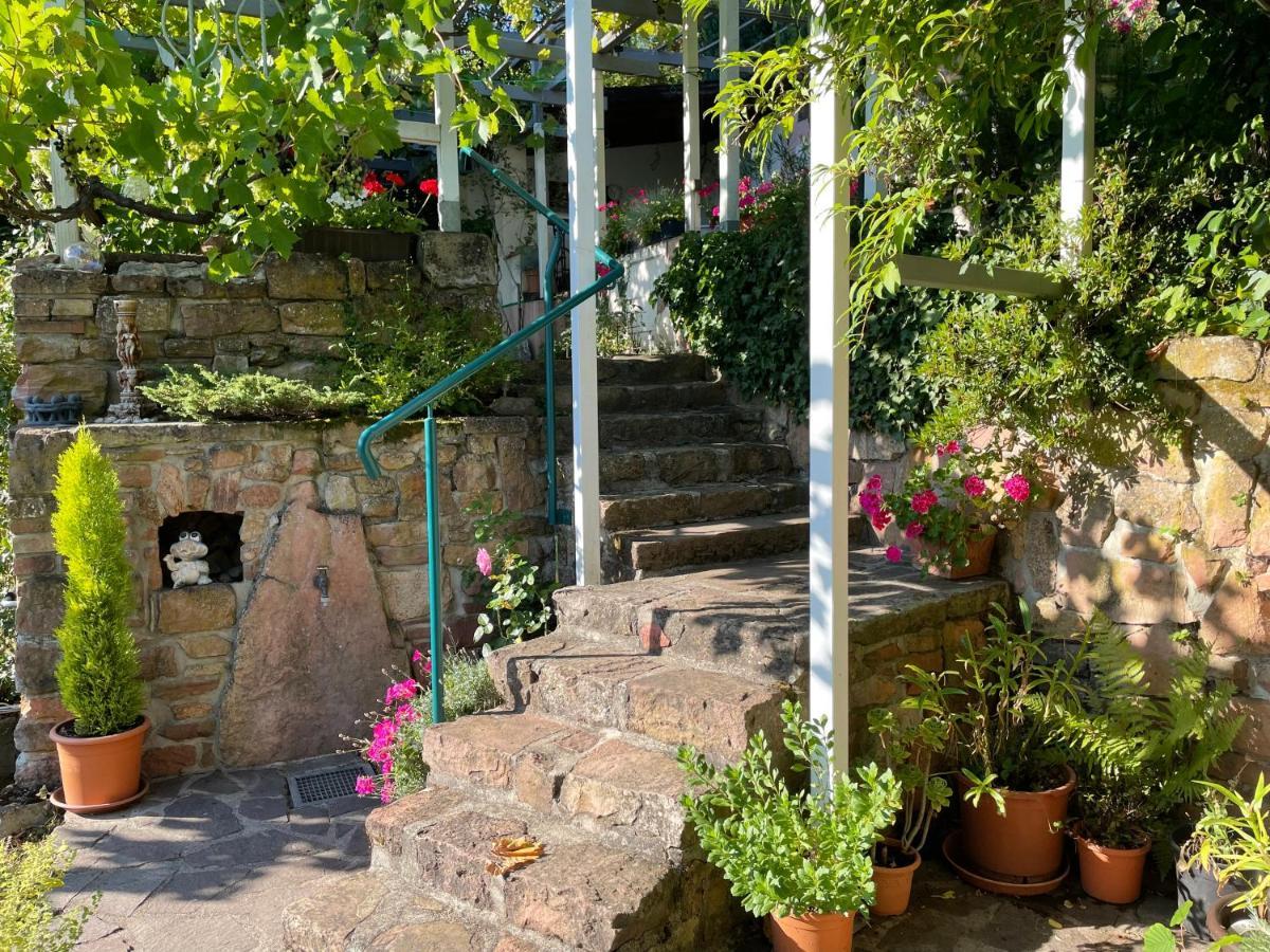 Apartment Am Berggarten Heidelberg