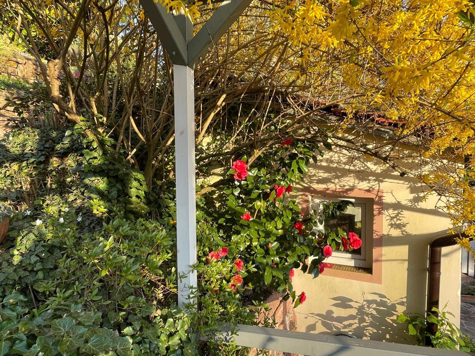 Am Berggarten