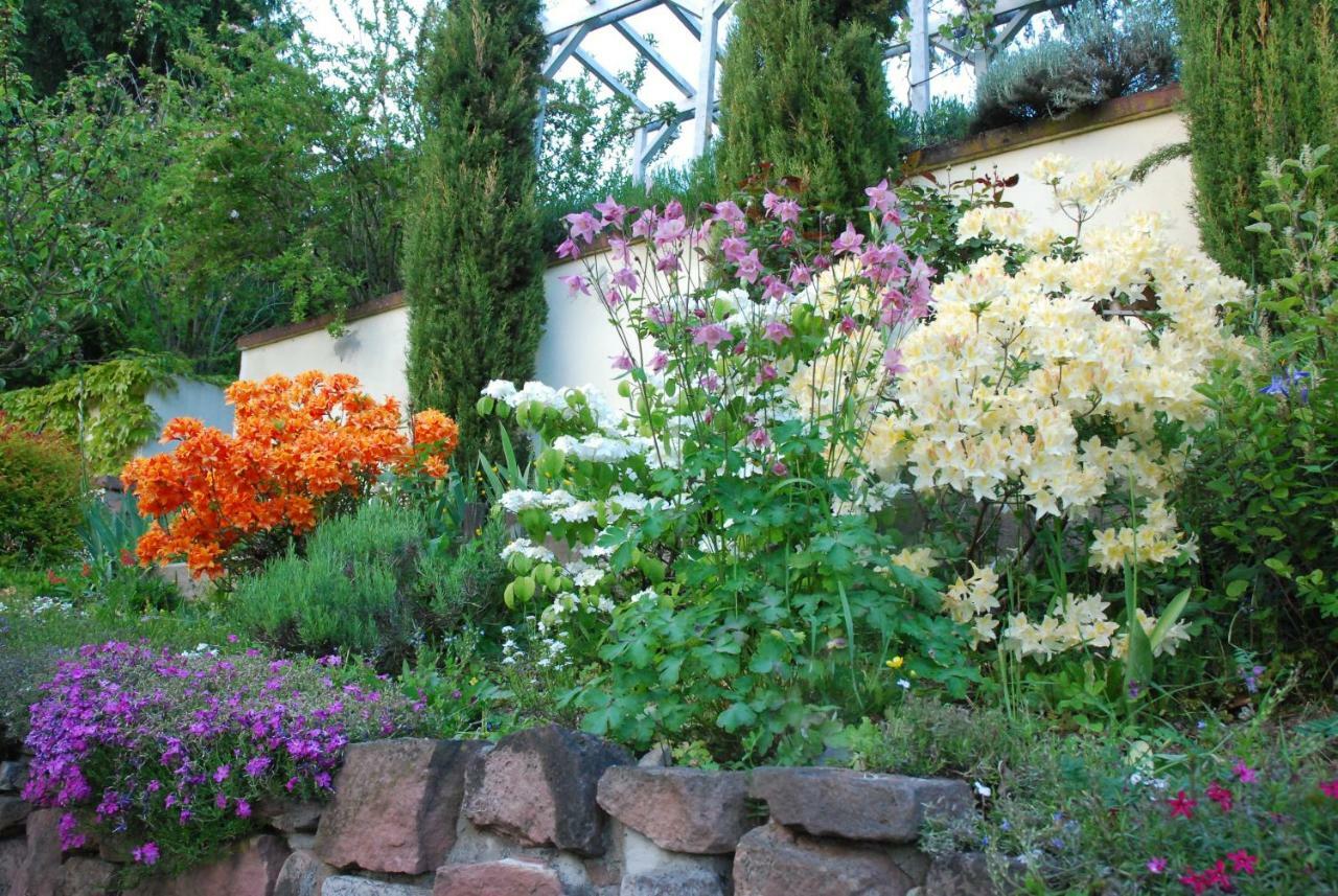 Am Berggarten Apartment Heidelberg